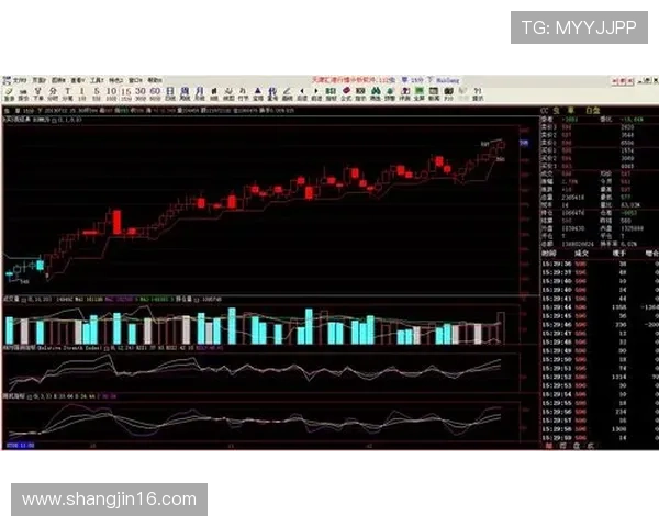 PHP开奖走势图表分析与历史数据查询